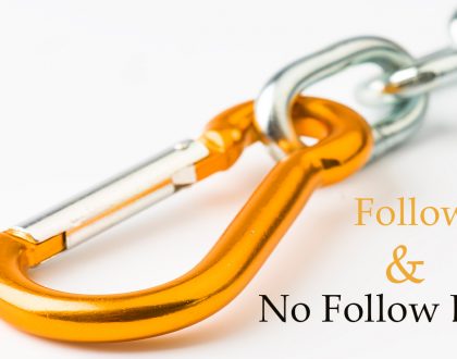 What is Follow Link and No Follow Links
