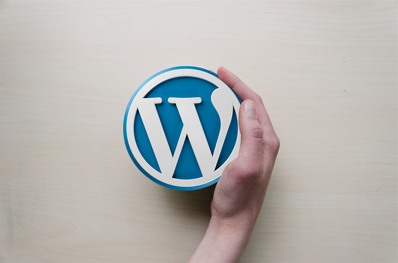 Which SEO Techniques are Helpful for a WordPress Site?