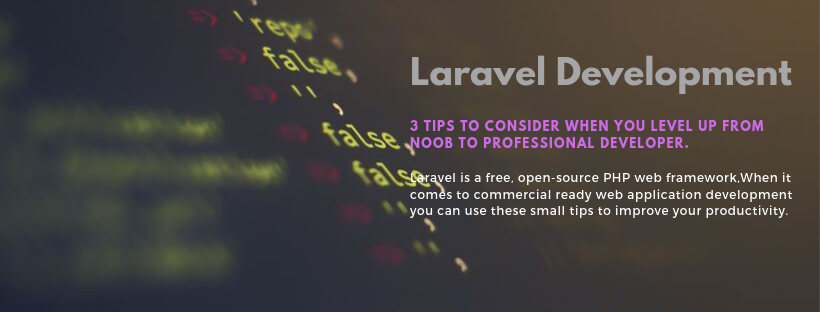 Noob to Professional Laravel Development -A Developer Guide