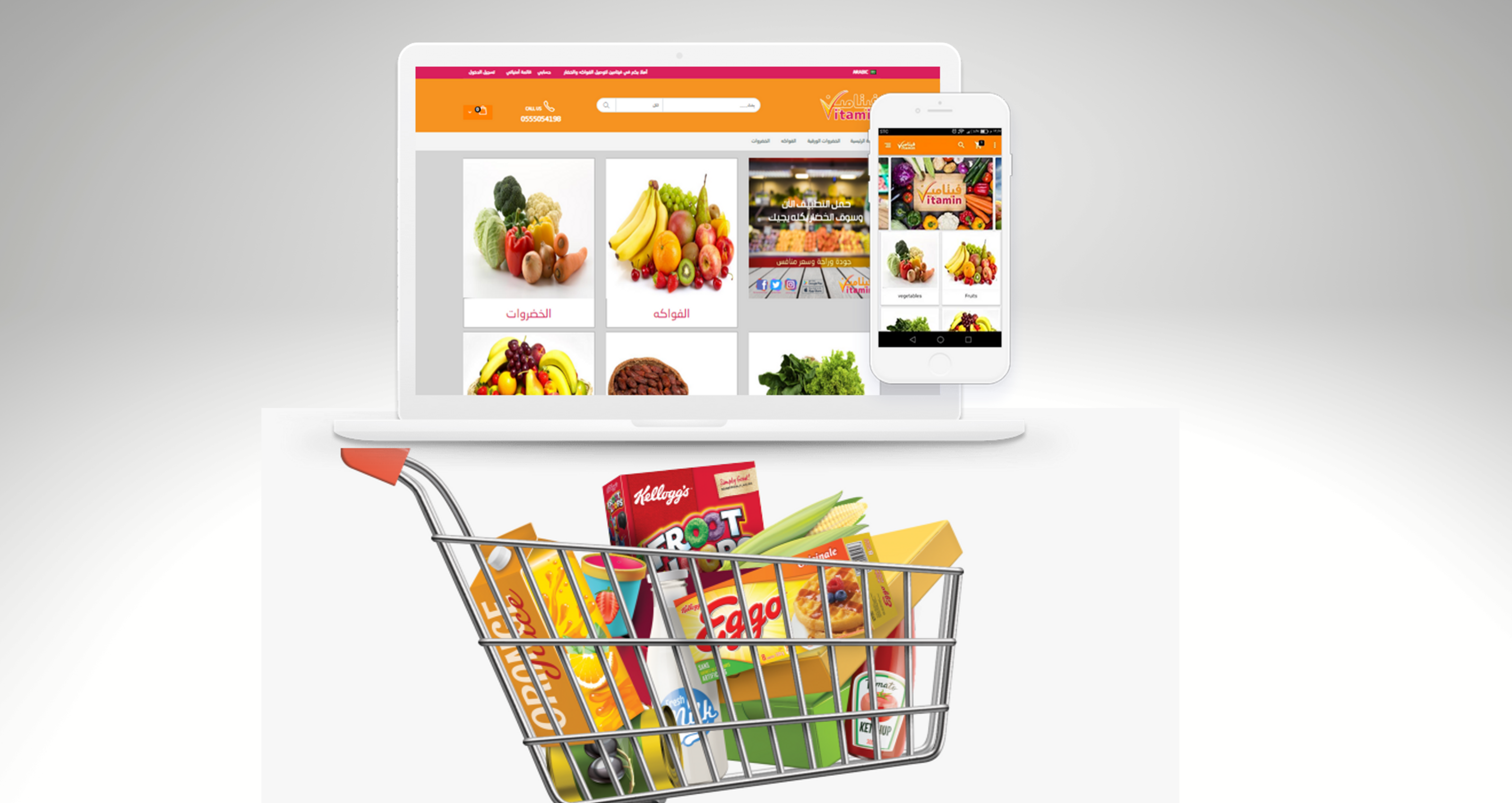 Remember These Things Before Setting Up A Grocery E-Commerce