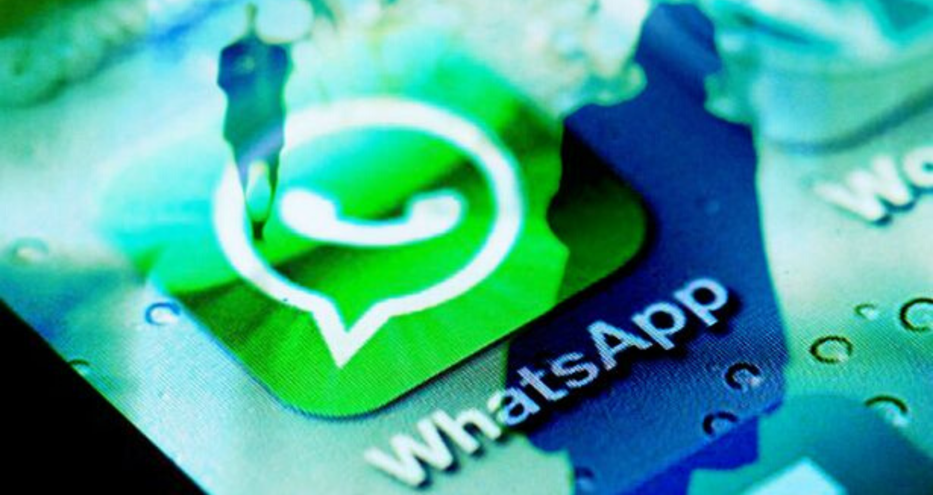 Logic behind WhatsApp Group Member Color