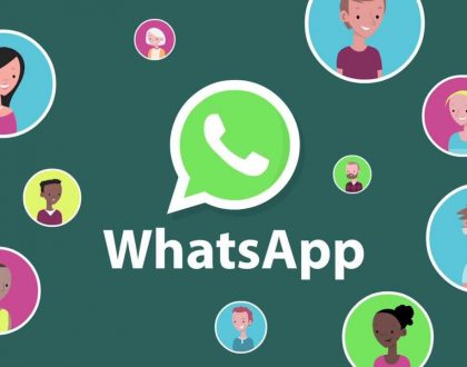 WhatsApp Business API Features that can Amaze you!