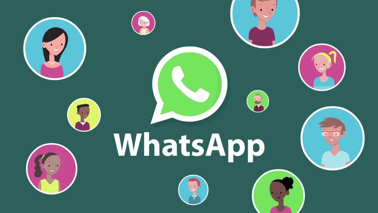 WhatsApp Business API Features that can Amaze you!