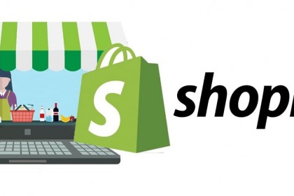 Article: "Case Study: How XYZ Business Scaled with Shopify Plus"