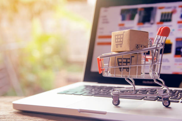 The Ultimate Guide to Starting Your Online Store in India