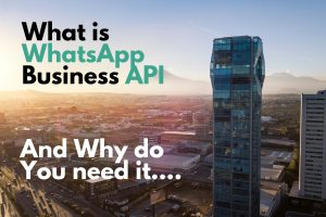 Best WhatsApp Business API Providers in Mexico