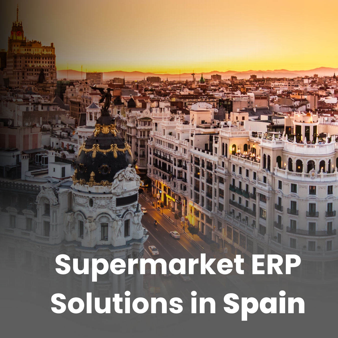 Customizable Supermarket ERP Solutions in Spain