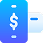 Payment Gateway Integration